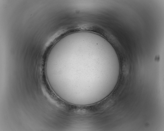 X0000110960730200907022220