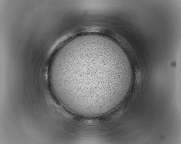 X0000110960731200907022220