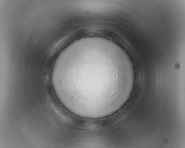 X0000110960733200907022220