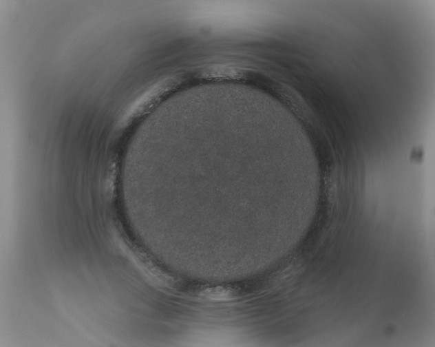 X0000110960735200907022220