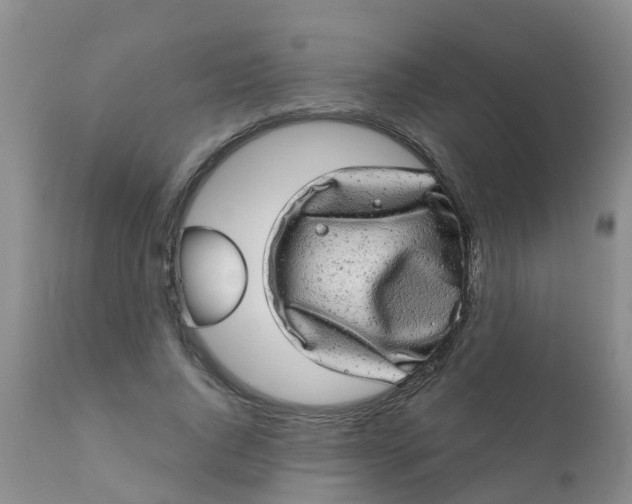 X0000110960736200907022220