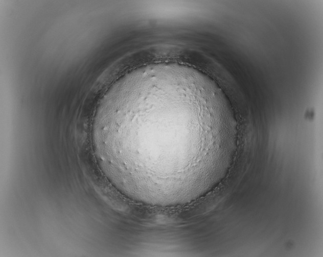 X0000110960737200907022220