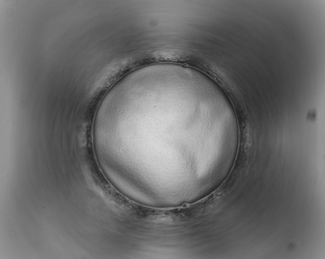 X0000110960738200907022220