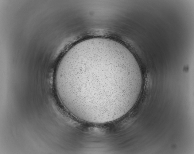 X0000110960739200907022220