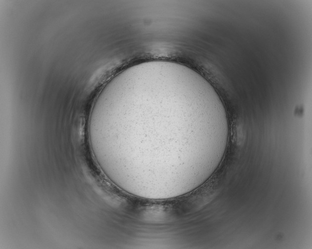 X0000110960740200907022220