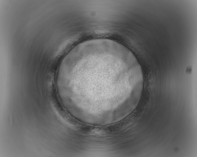 X0000110960742200907022220