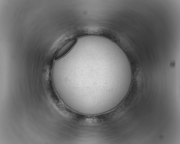 X0000110960744200907022220