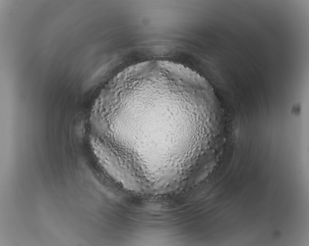 X0000110960746200907022220