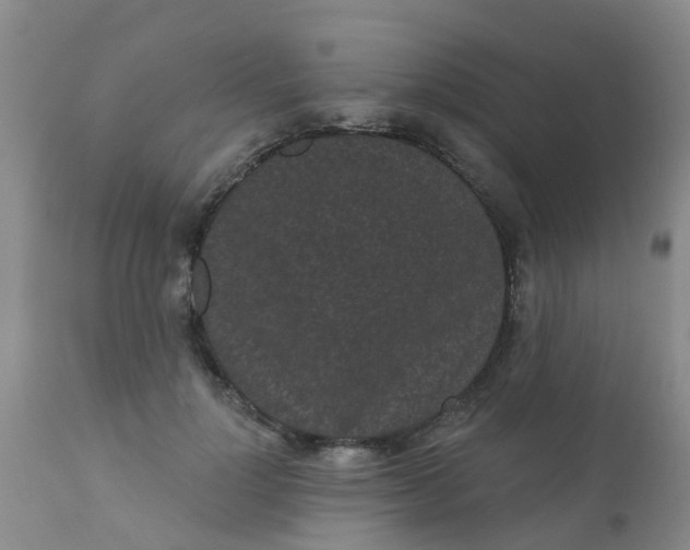 X0000110960748200907022220