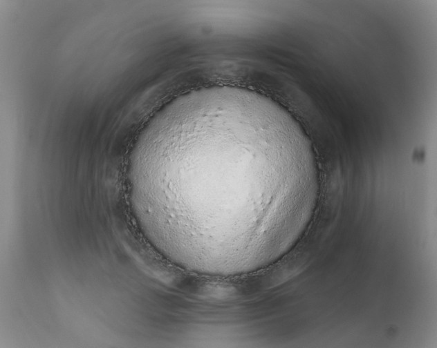 X0000110960749200907022220