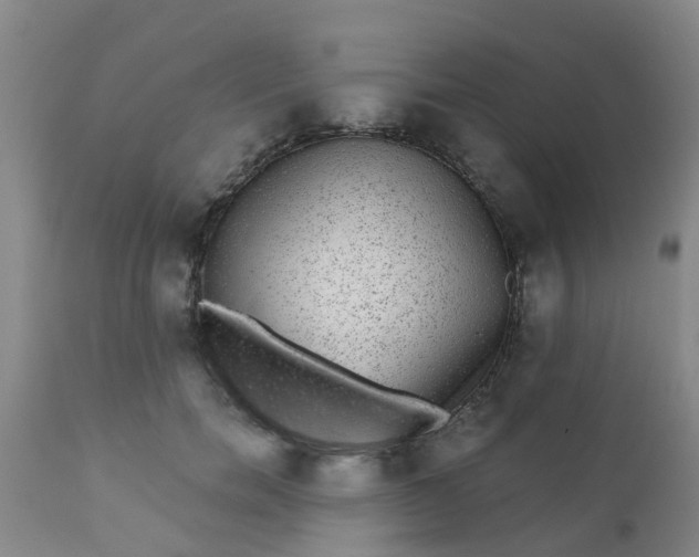 X0000110960750200907022220