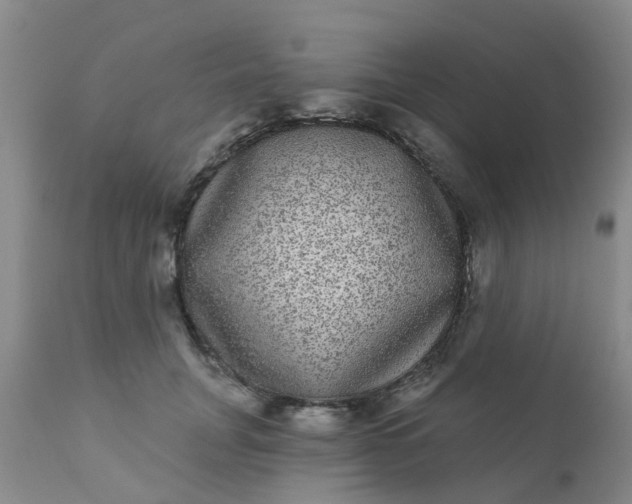 X0000110960751200907022220