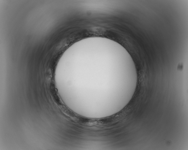 X0000110960752200907022220