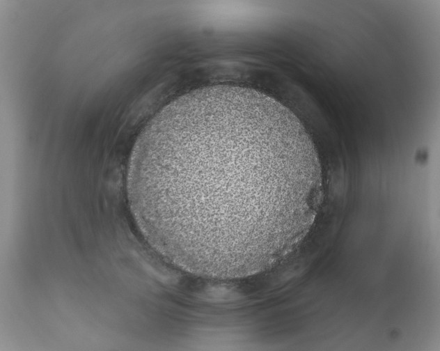 X0000110960753200907022221