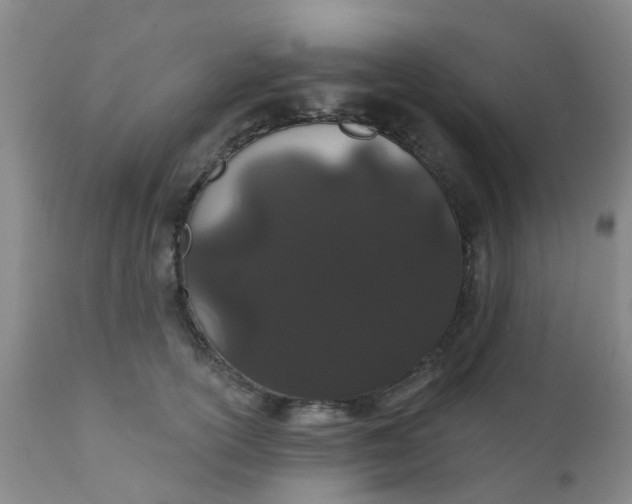 X0000110960754200907022221