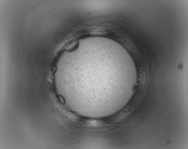 X0000110960755200907022221