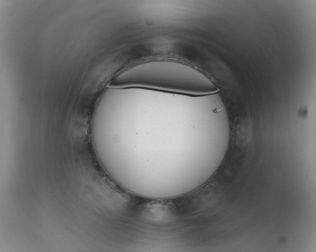 X0000110960756200907022221