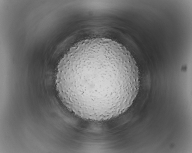 X0000110960757200907022221