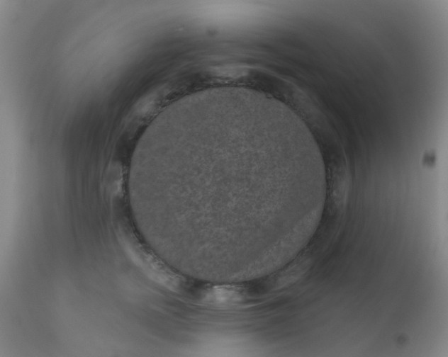 X0000110960758200907022221