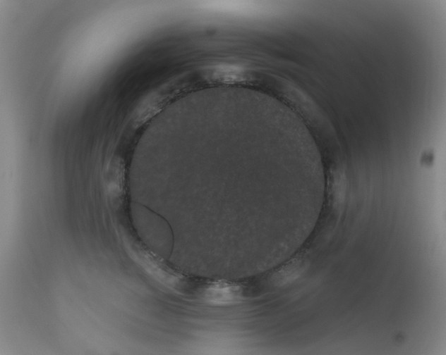 X0000110960760200907022221