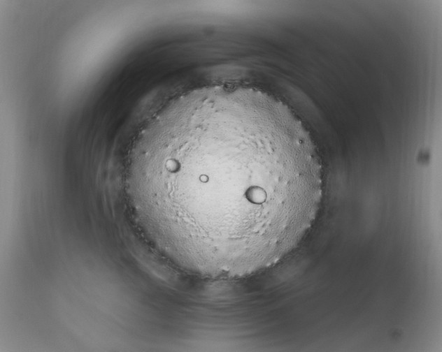 X0000110960761200907022221