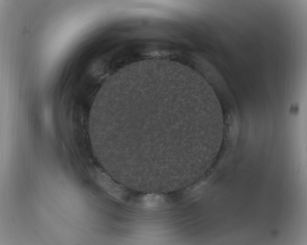 X0000110960762200907022221