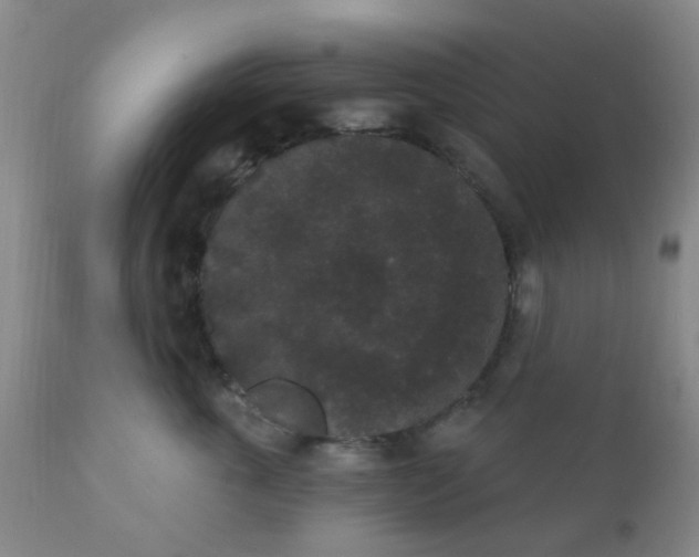 X0000110960763200907022221