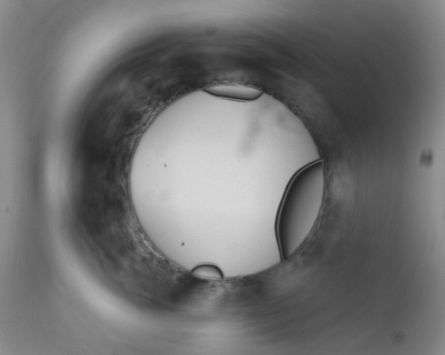 X0000110960764200907022221