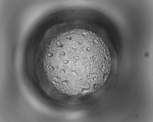 X0000110960765200907022221