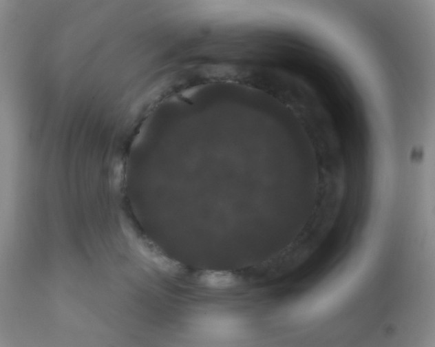 X0000110960767200907022221