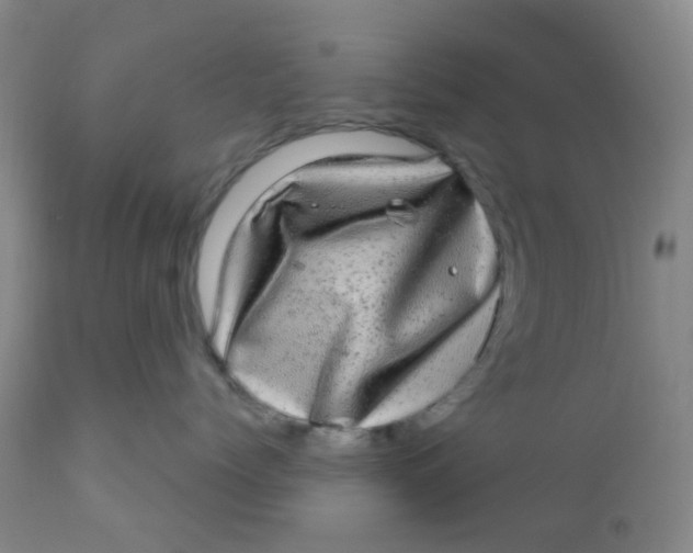 X0000110960768200907022221