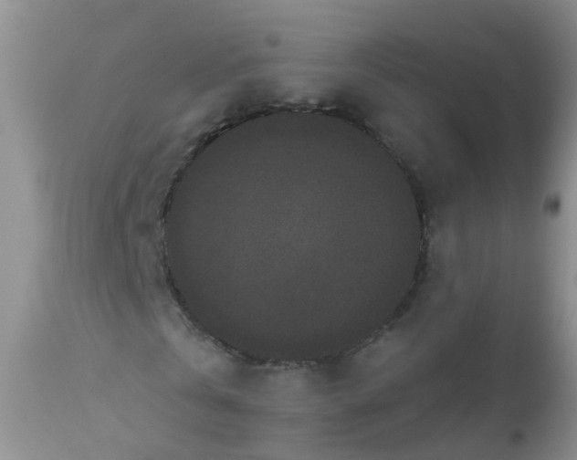 X0000110960769200907022220