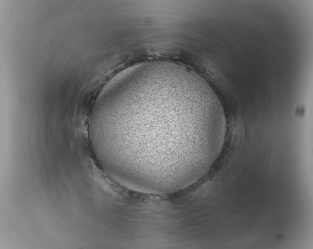 X0000110960770200907022220