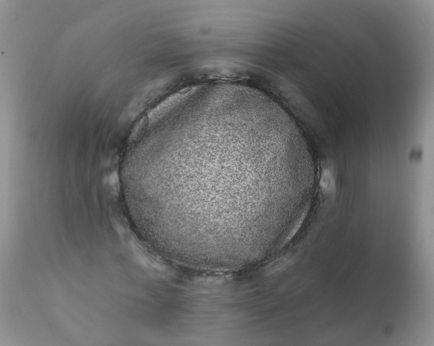 X0000110960771200907022220