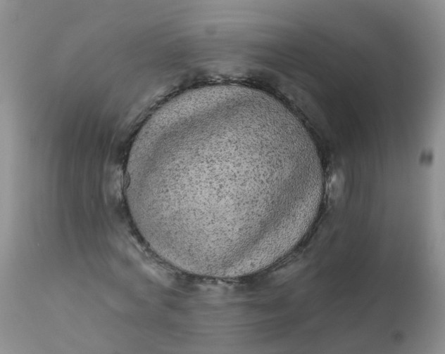 X0000110960772200907022220