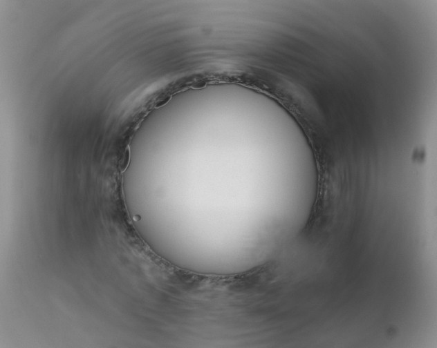 X0000110960773200907022220