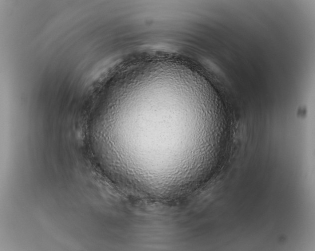 X0000110960774200907022220