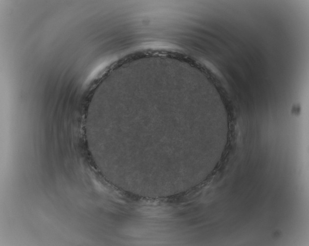 X0000110960775200907022220