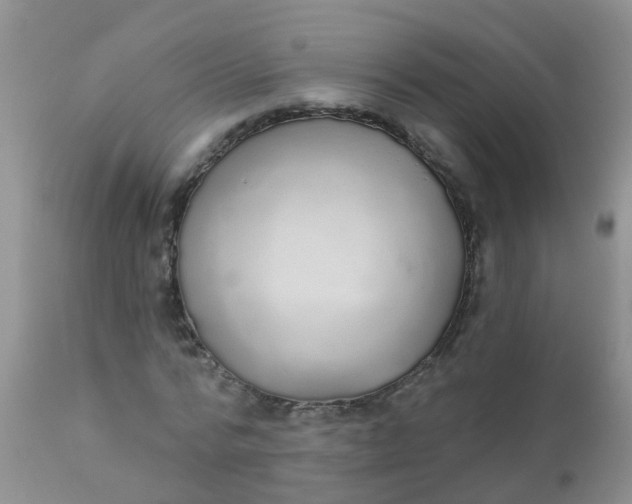 X0000110960776200907022220