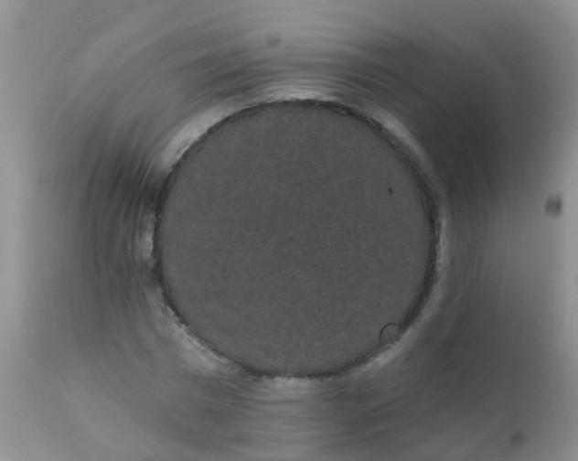 X0000110960777200907022220