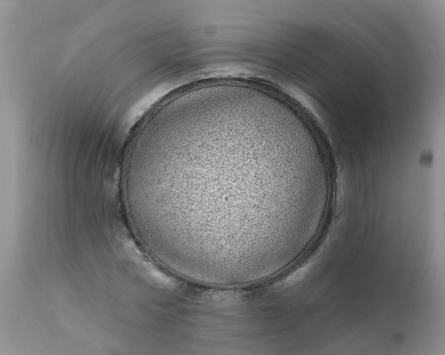 X0000110960778200907022220