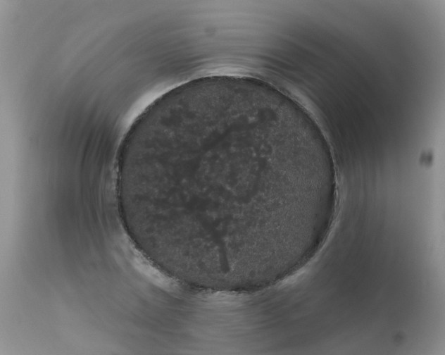 X0000110960779200907022220