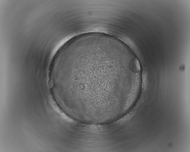 X0000110960780200907022220