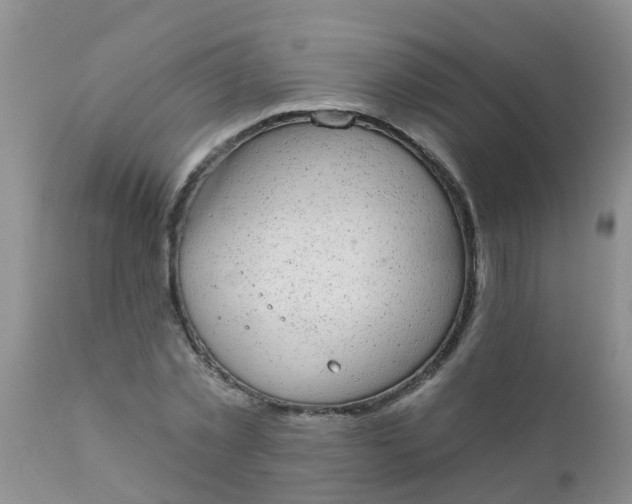 X0000110960781200907022220