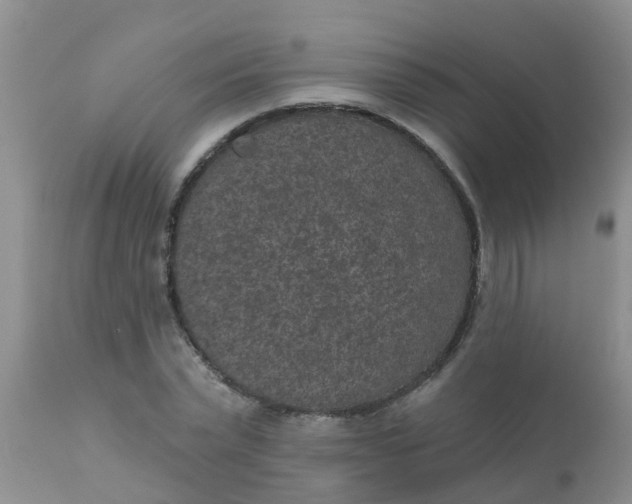 X0000110960783200907022220