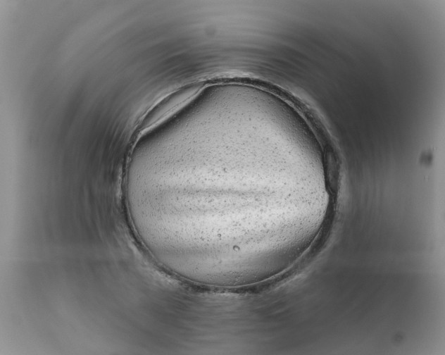 X0000110960785200907022220