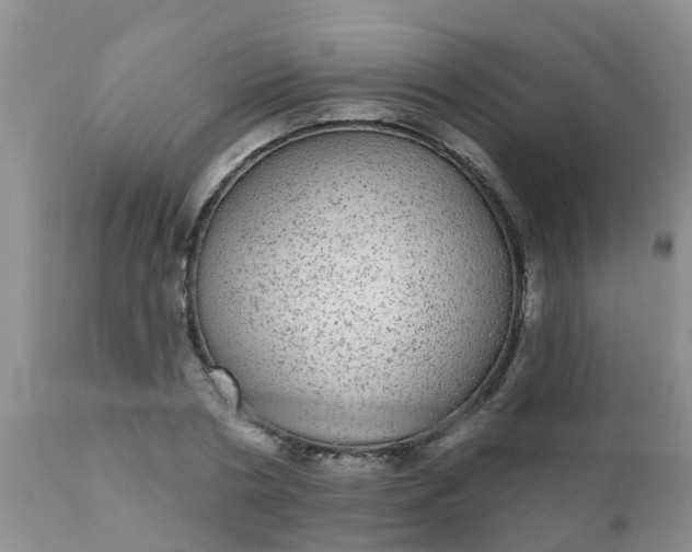 X0000110960786200907022220