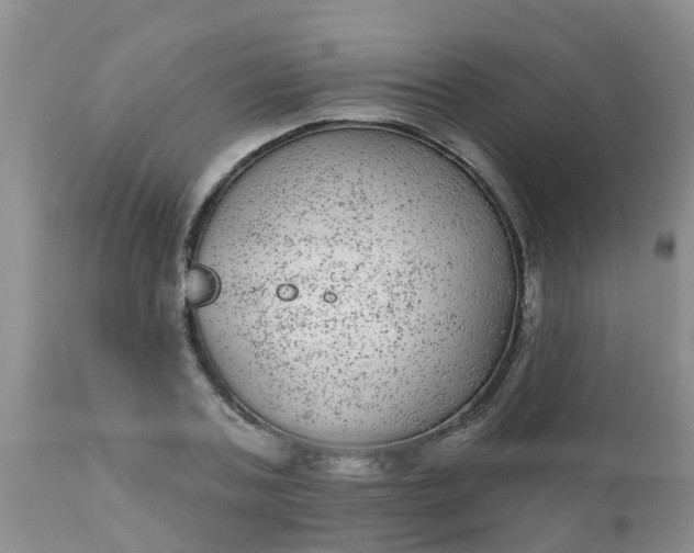 X0000110960787200907022220