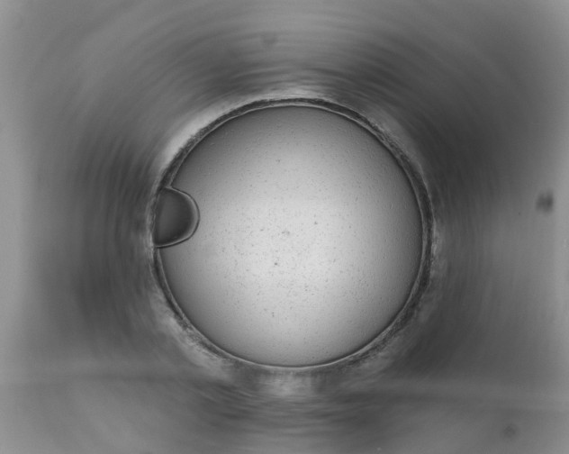 X0000110960789200907022220