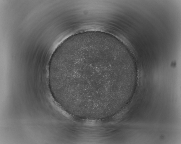 X0000110960790200907022220